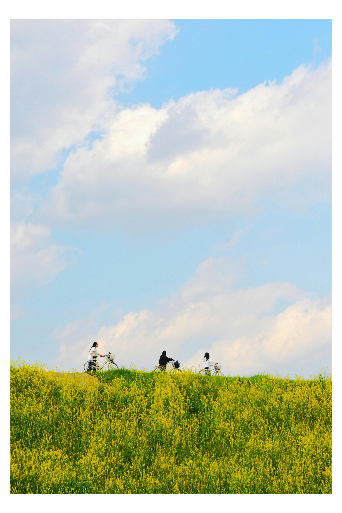 Classic 4x6 polaroid format